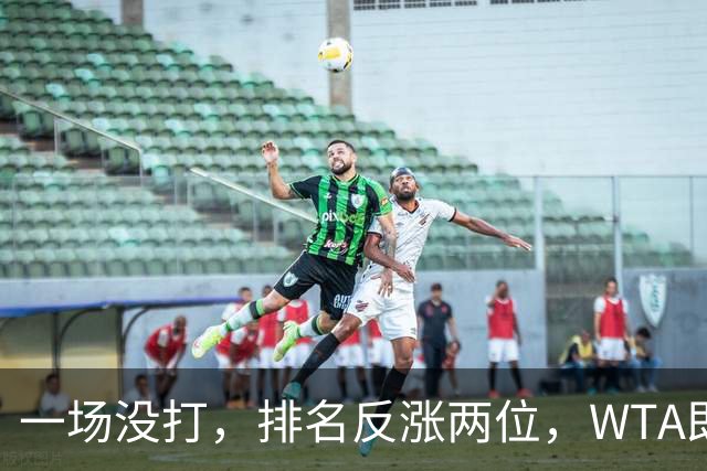 一场没打，排名反涨两位，WTA即时排名更新，郑钦文世界排名重回前二十