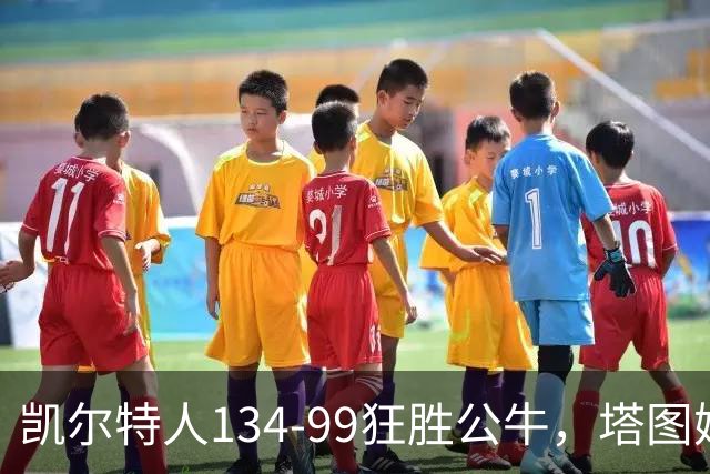 凯尔特人134-99狂胜公牛，塔图姆23+7+6，普里查德28分