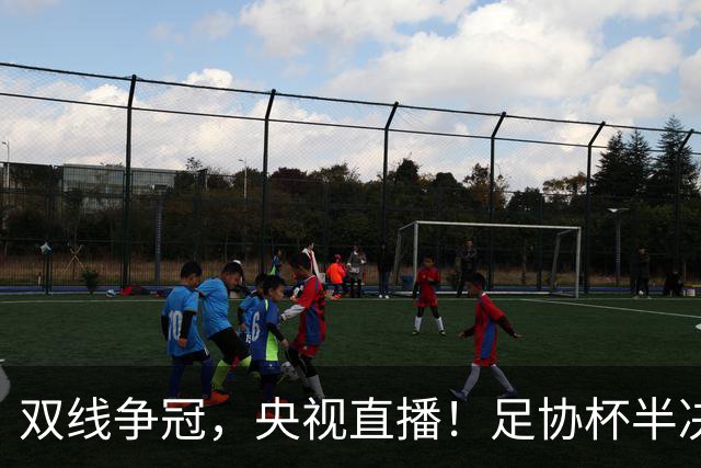 双线争冠，央视直播！足协杯半决赛先赛1场，大连英博客战云南玉昆