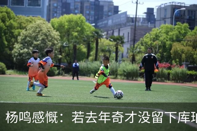 杨鸣感慨：若去年奇才没留下库珀，自己不会坐在解说席