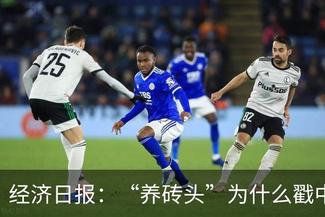 经济日报：“养砖头”为什么戳中年轻人？