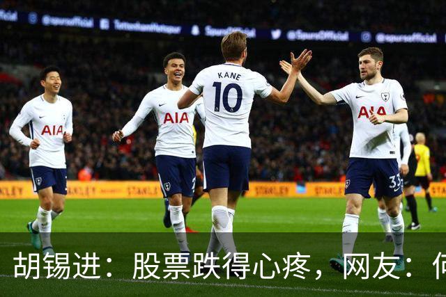 胡锡进：股票跌得心疼，网友：何止心疼，完全是肉疼